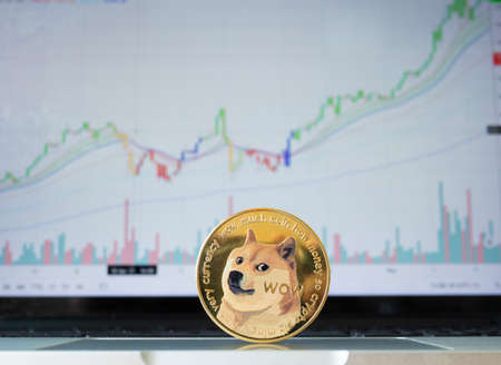 Crypto Market. One Golden Dogecoin Coin on Laptop Computer Cryptocurrency Financial Systems Conceptの写真素材