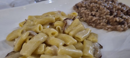 Close-up of delicious penne pasta and creamy mushroom risotto served on a white plateの写真素材