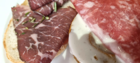 Close-up of an open sandwich with assorted cured meats and creamy sauce on a crisp bread sliceの写真素材