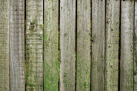 Wooden vintage texture with the remains of paint. Old boards and straps close-upの写真素材