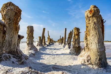 Pink salt lake in the south of Ukraine. salt crystals on wooden posts, salt on the groundの写真素材