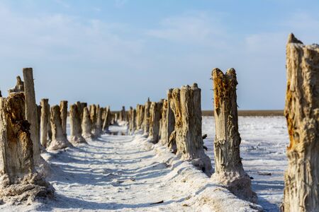 Pink salt lake in the south of Ukraine. salt crystals on wooden posts, salt on the groundの写真素材