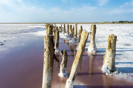 Pink salt lake in the south of Ukraine. salt crystals on wooden posts, salt on the groundの写真素材