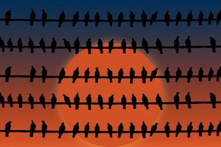 Black silhouettes of Doves on sunset background abstract graphic image. Pigeons are sitting on electric wire.の写真素材