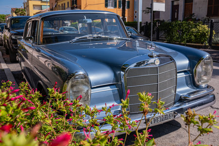 An old vintage perfectly restored Mercedes car is parked on the street on a sunny summer day. Blue old Mercedes on a flowery street.のeditorial素材