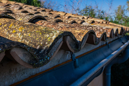 Old tiles overgrown with moss. Close-up photo of roof tiles of an old house.の写真素材