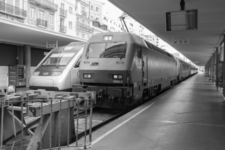 Modern passenger trains stand under the roof of a railway station in Lisbon. Covered station and trains looking into the distance. Black and white image.の写真素材