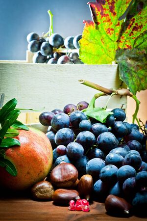still life of autumnal foods の写真素材