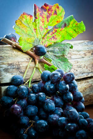 still life of autumnal foods 	の写真素材