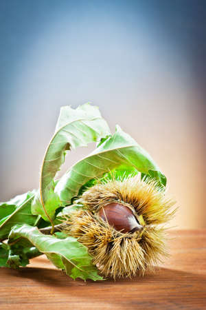 chestnuts in autumnal atmosphere の写真素材