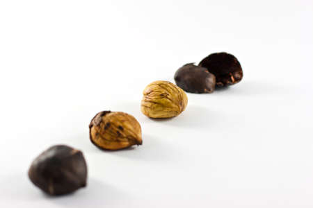 Chestnuts in autumnal atmosphere