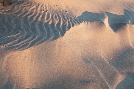 texture and sand background 
