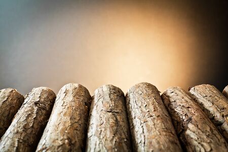 tree bark の写真素材