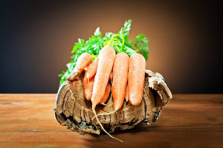 carrots on tree bark の写真素材