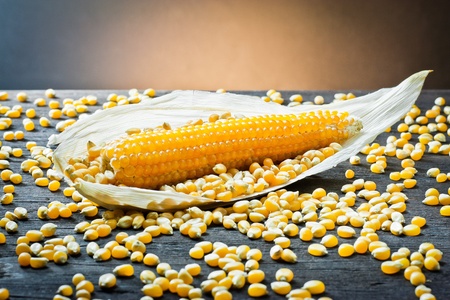 corn cobの写真素材