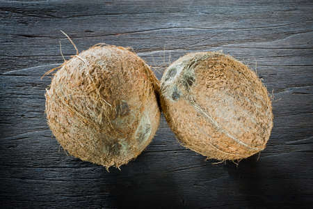 coconut on wood の写真素材