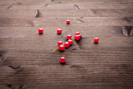 red cranberry の写真素材
