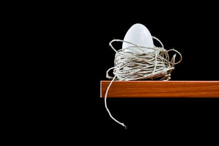white egg in the nest
