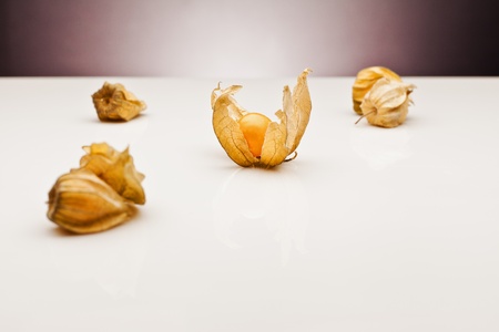 handful orange physalis over whiteの写真素材