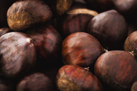 chestnut on wood  の写真素材