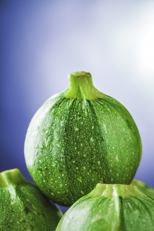 zucchini round の写真素材