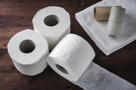 paper toilet rolls の写真素材