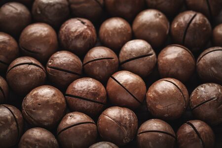 macadamia nutsの写真素材