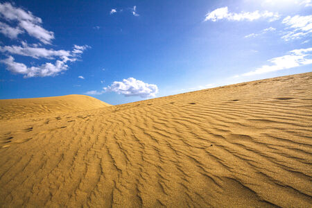 sand dunes の写真素材
