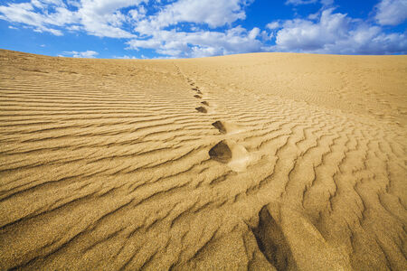 sand dunesの写真素材