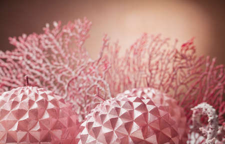 Christmas candle decorationの写真素材