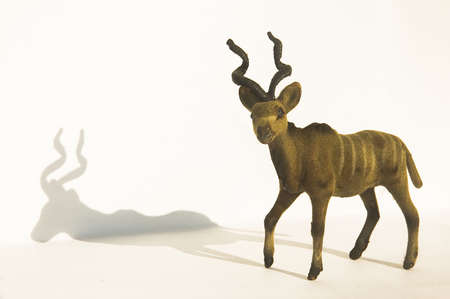 Christmas Dearの写真素材