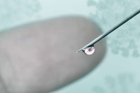 Closeup of a drop of blood collected from a finger for a covid-19 test