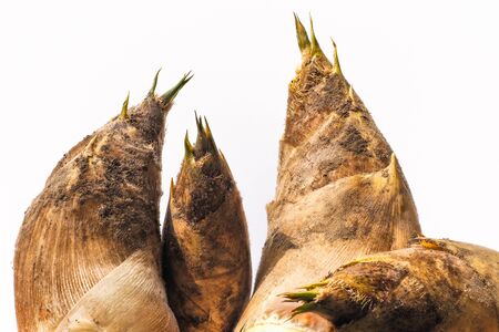 Right now is bamboo shoot season.の写真素材