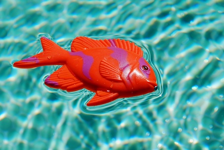 plastic fishの写真素材