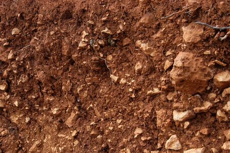 land detailsの写真素材