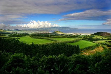 azores vegetationの写真素材