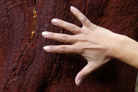 open handの写真素材