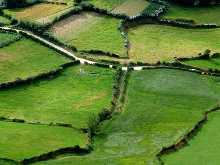 azores fieldsの写真素材