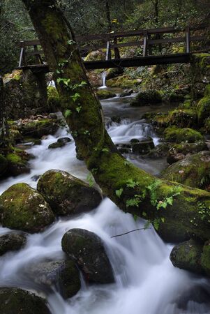 river waterfall in the portuguese national park