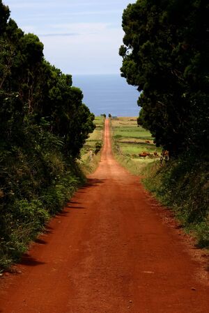 big red road in sao jorge island, azoresの写真素材