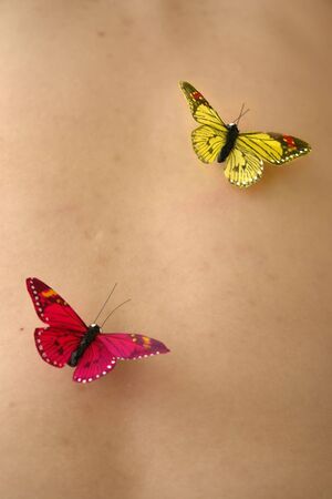 butterflys in woman skinの写真素材