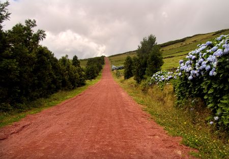 red road in azoresの写真素材