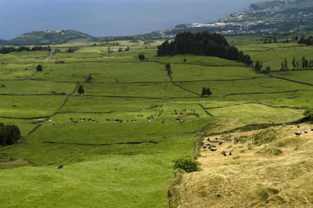 azores farms and fields