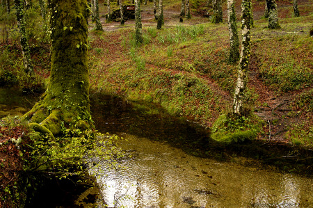 small river in the portuguese national park