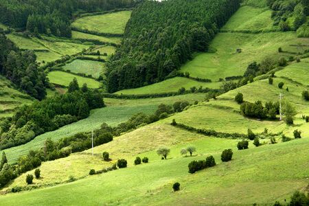 azores natural landscape in s miguel island                               