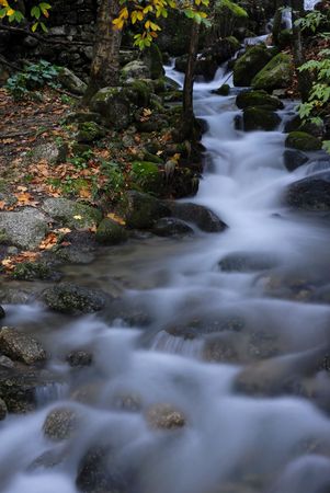 small river in the portuguese national park