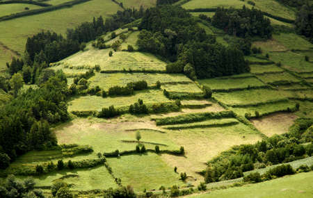 azores natural landscape in s miguel islandの写真素材