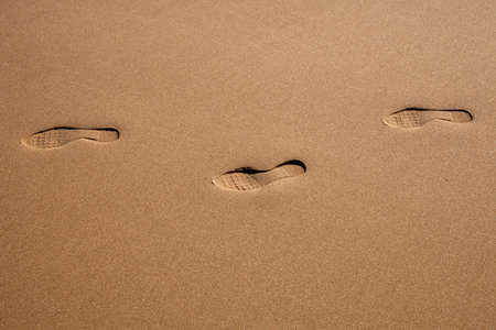 human footprints in the wet sand in a algarve beachの写真素材