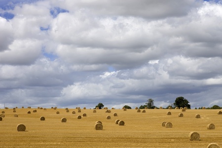 Briquettes of dry hay in a field in the north of Franceの写真素材