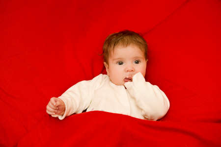 young baby portrait, studio pictureの写真素材